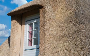 Zeal Monachorum thatch roof disadvantages